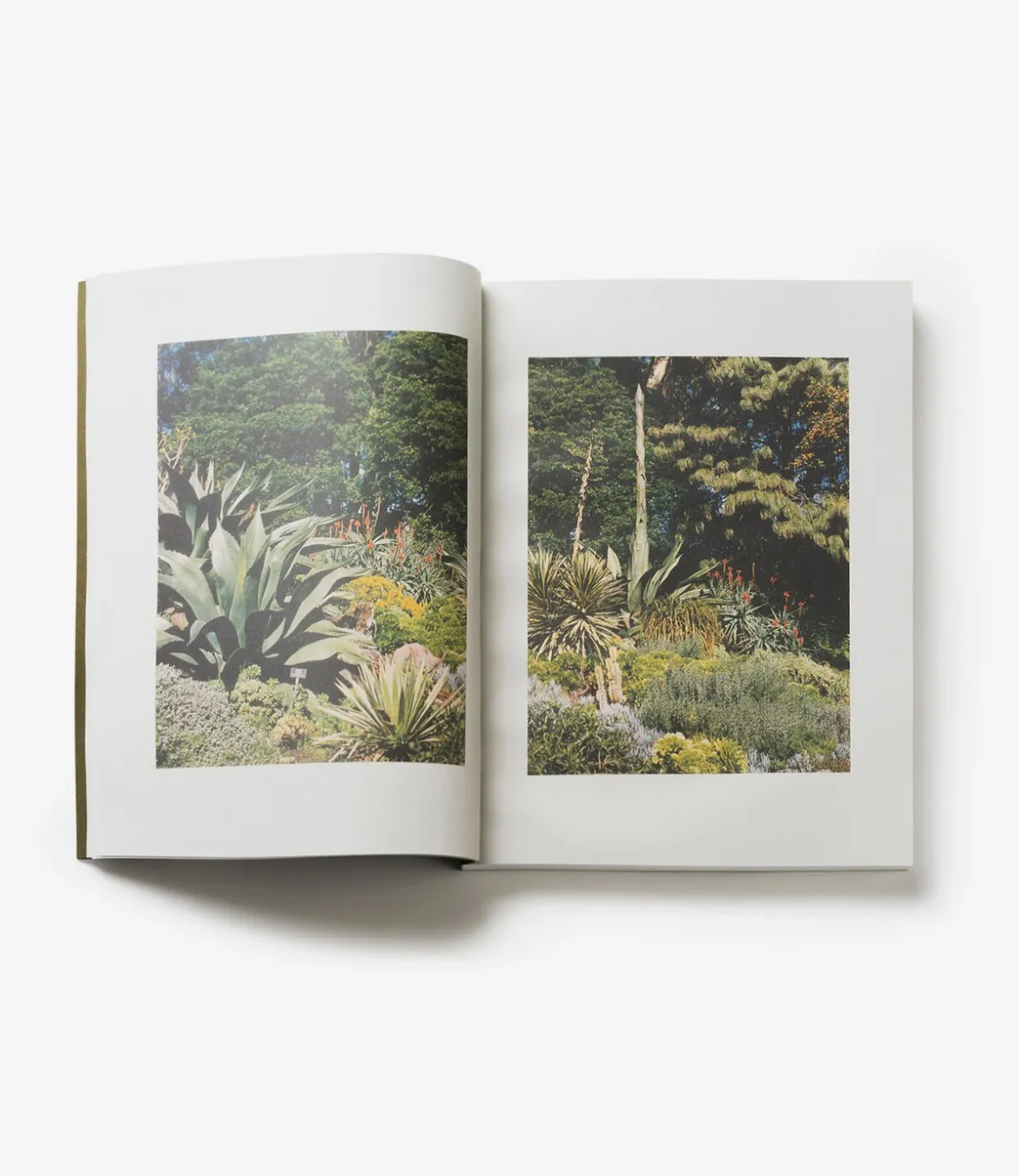 A.P.C. & Laurent Deroo Architecte