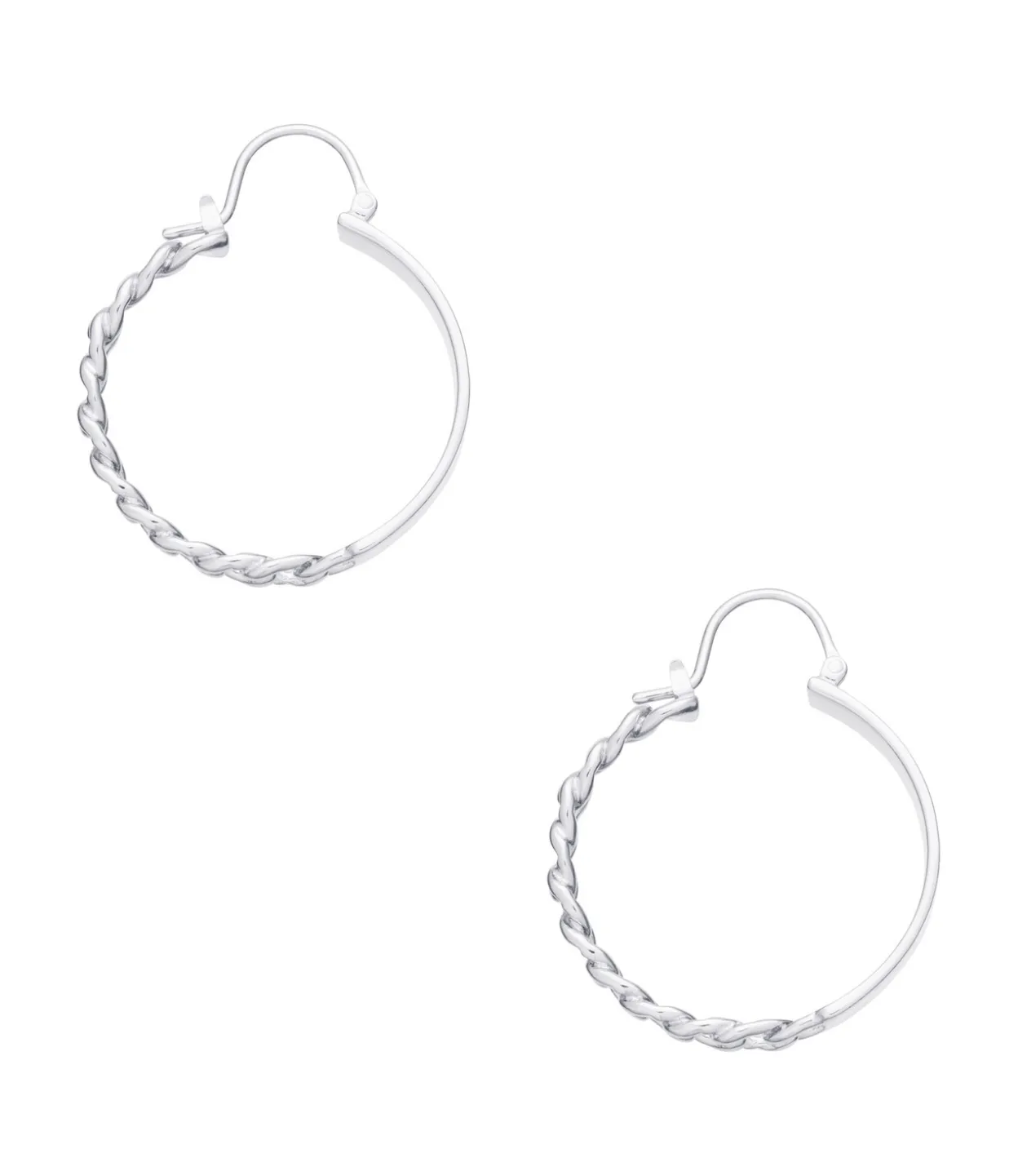 Darwin earrings