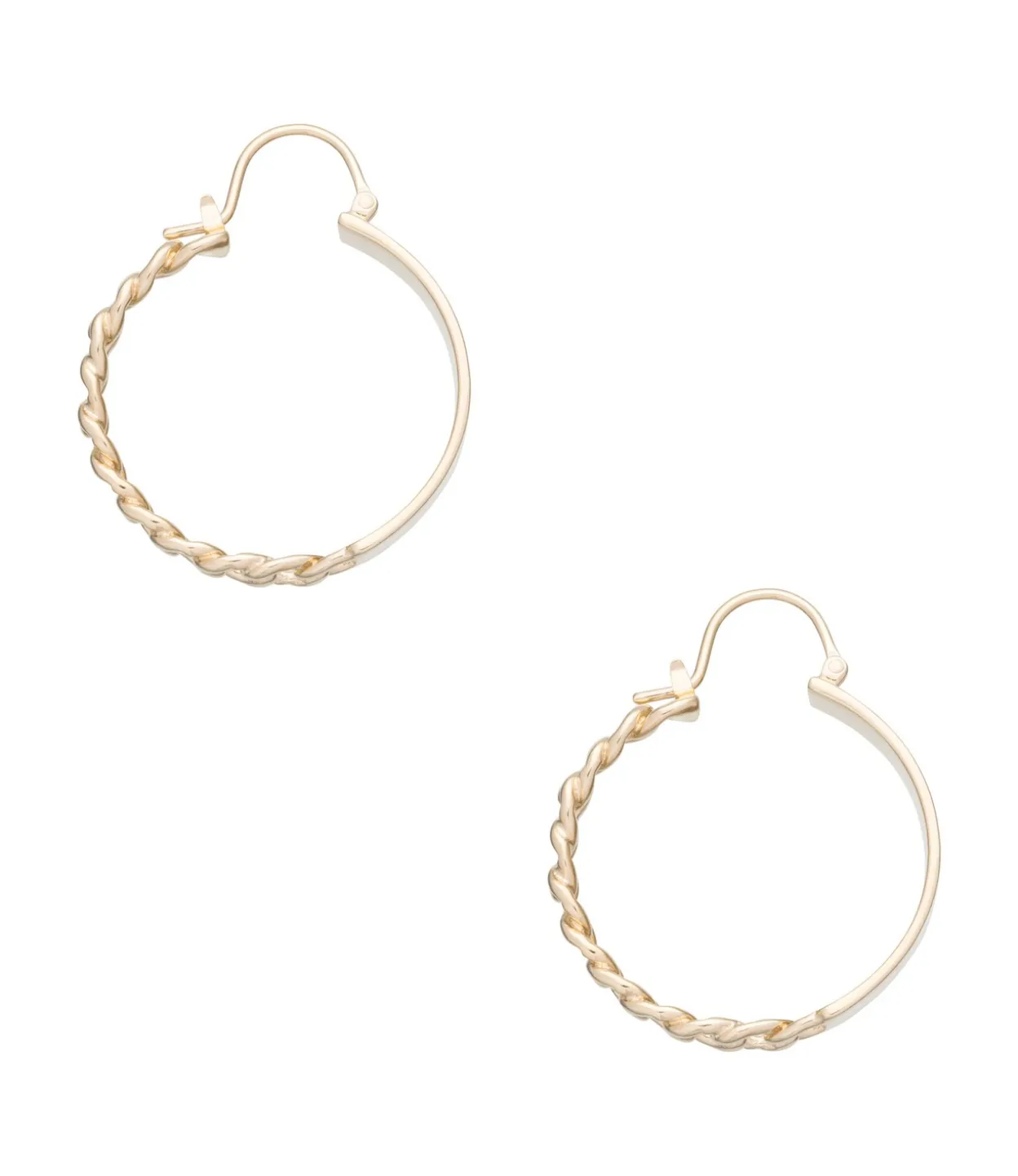 Darwin earrings